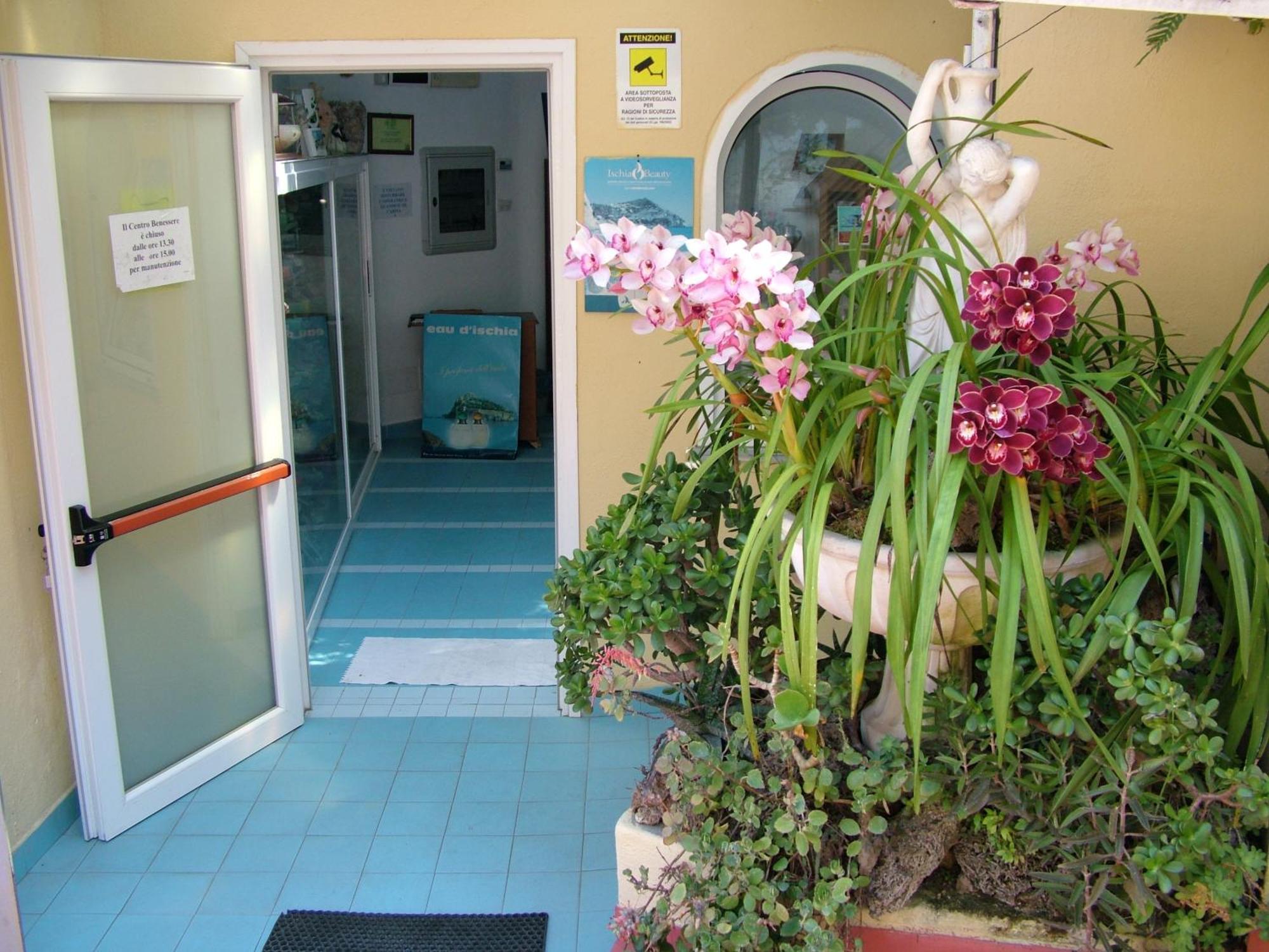 Hotel Giardino Delle Ninfe E La Fenice Ischia Exteriér fotografie